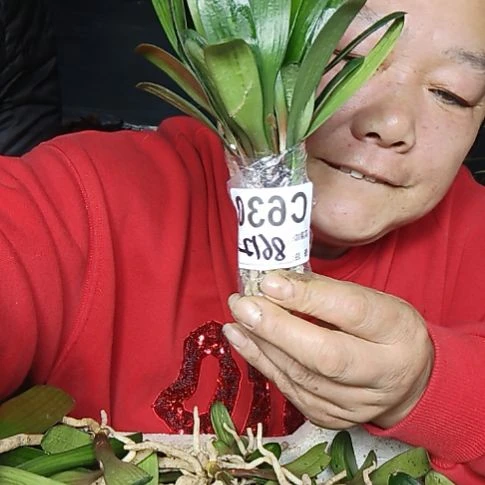 孙***志完全开放0000000000