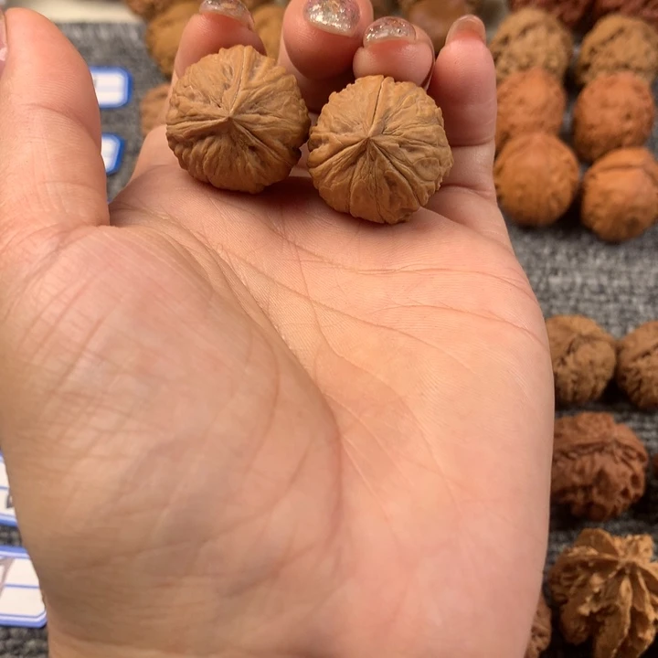 小**鹿三棱。