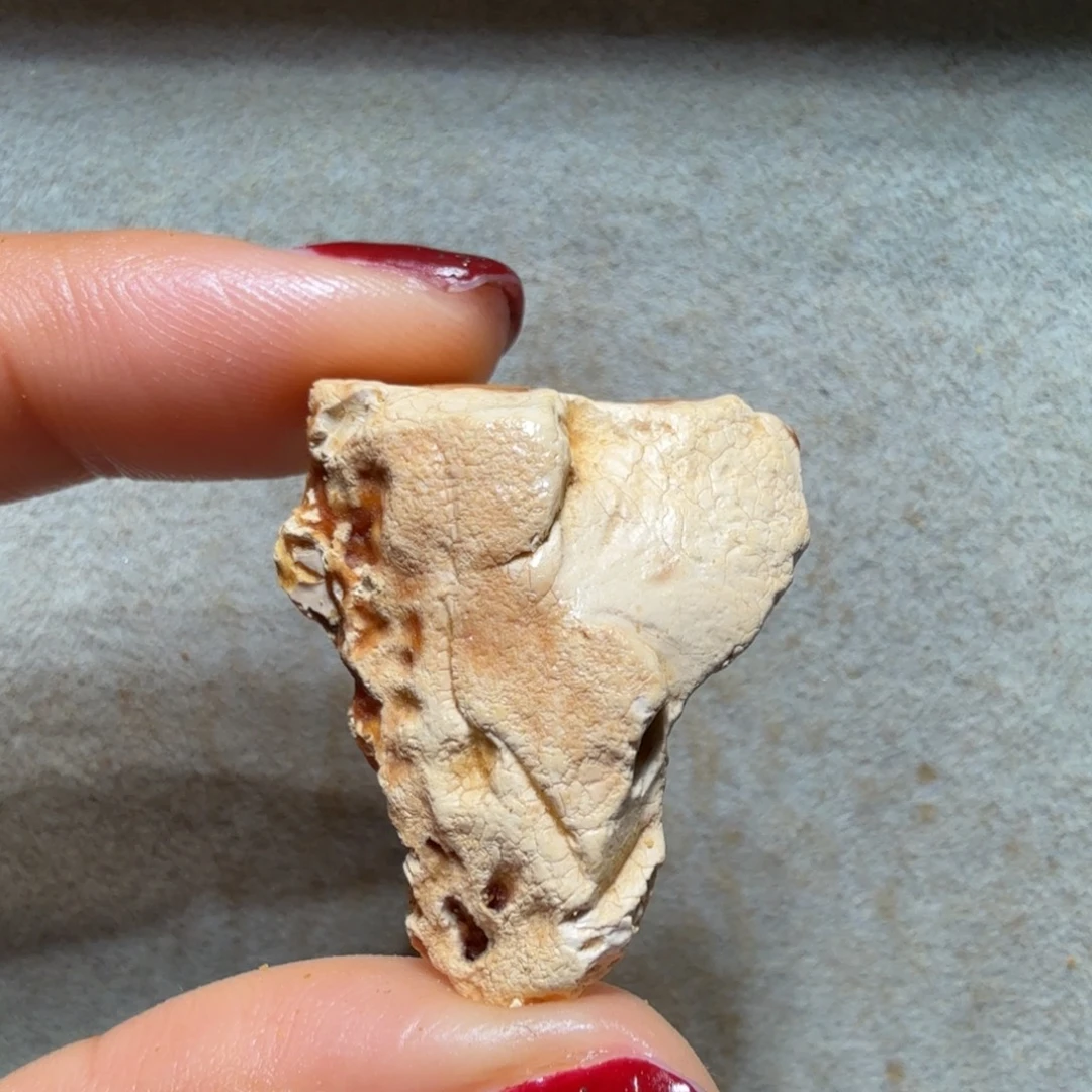 下***鱼定制琥珀未镶嵌专拍