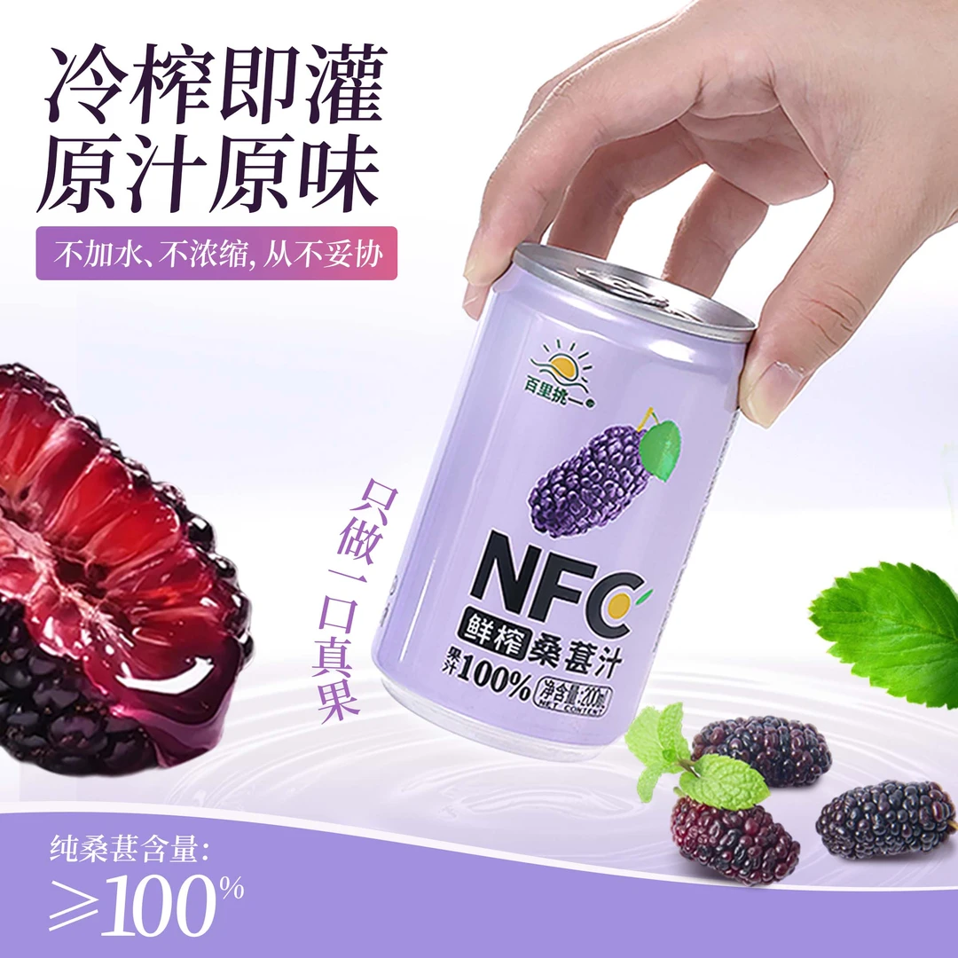 康之味NFC桑葚汁200ML*8罐/箱鲜榨非浓缩100%0添加纯果汁饮品D