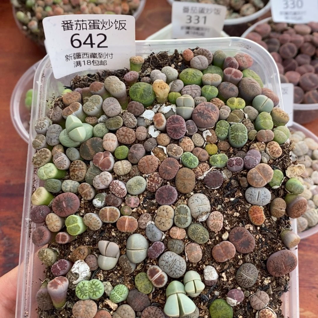感谢您的支持，00642