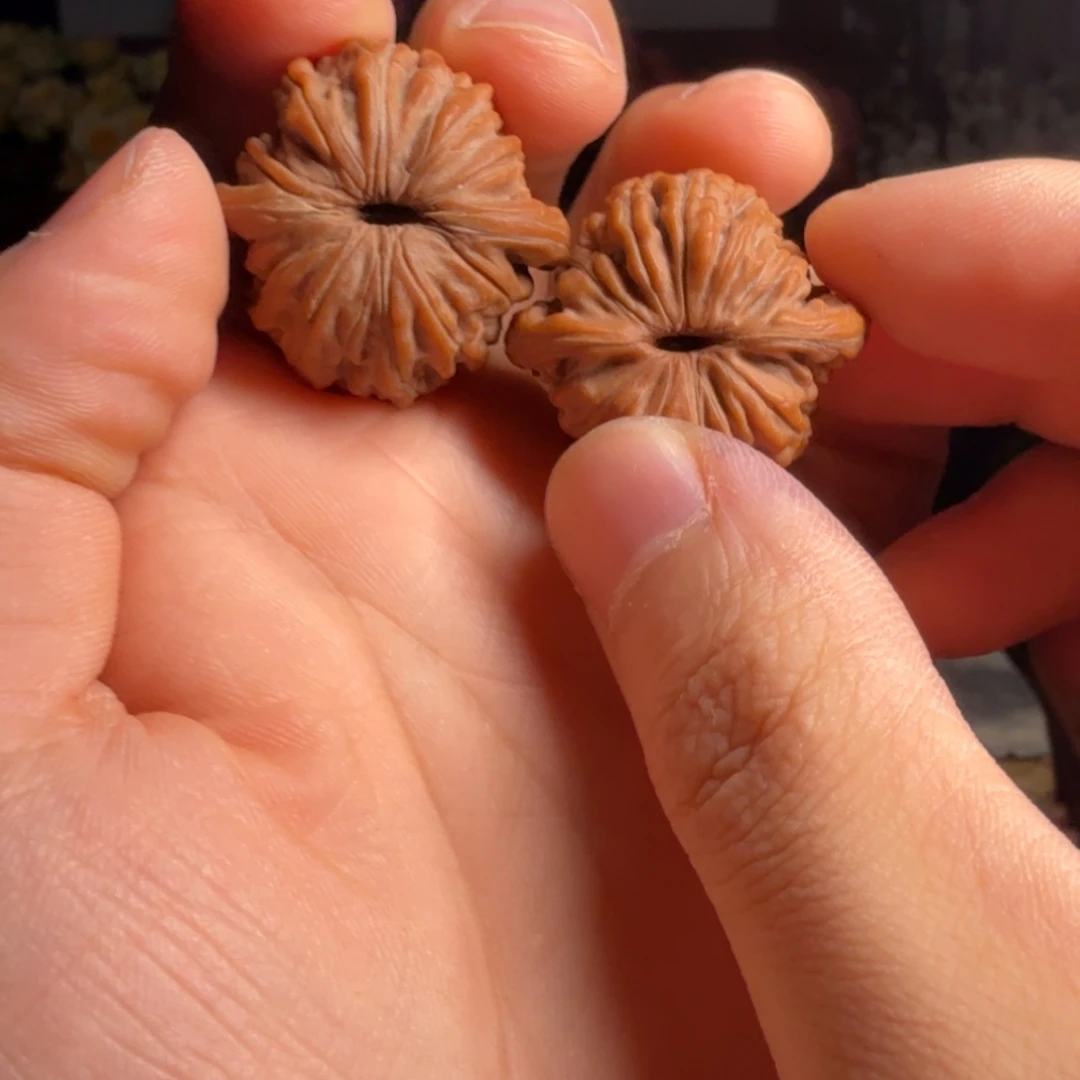 想***核桃汉高楼31全品，