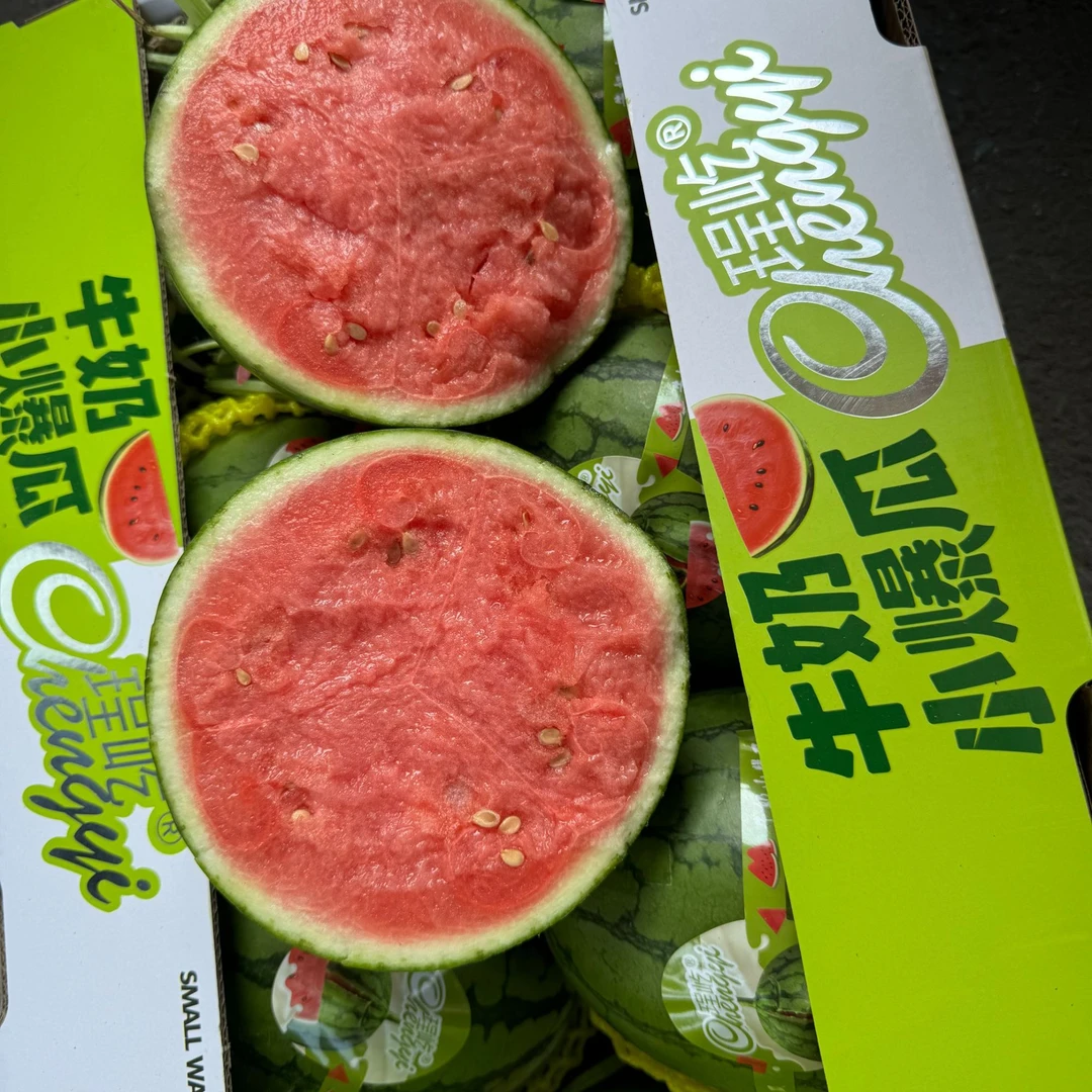 【盛世田园】 牛奶珍珠西瓜 无籽或少籽 瓜皮弹指即破 只发河南