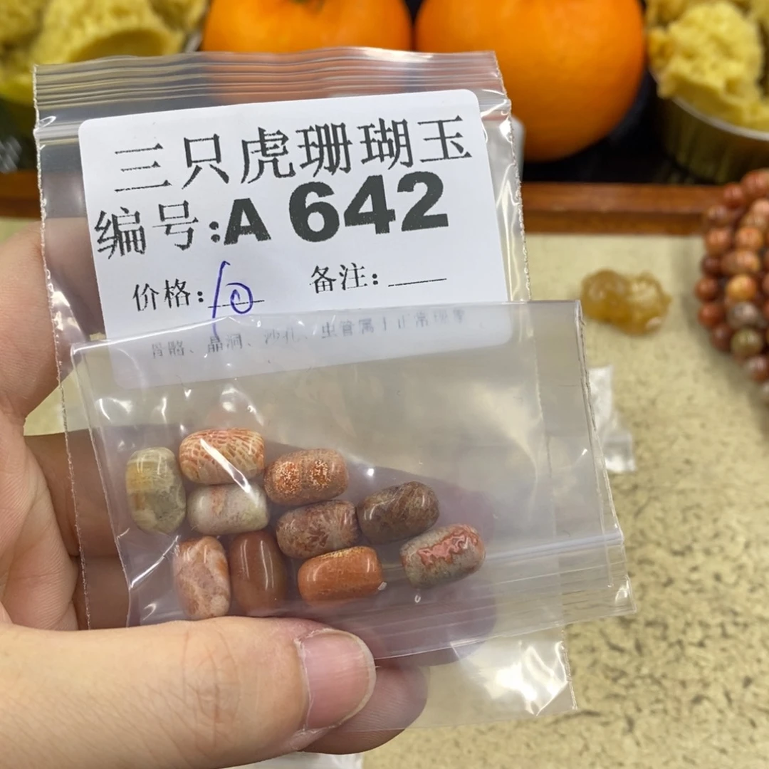 硅化珊瑚（珊瑚玉）1未镶嵌小*