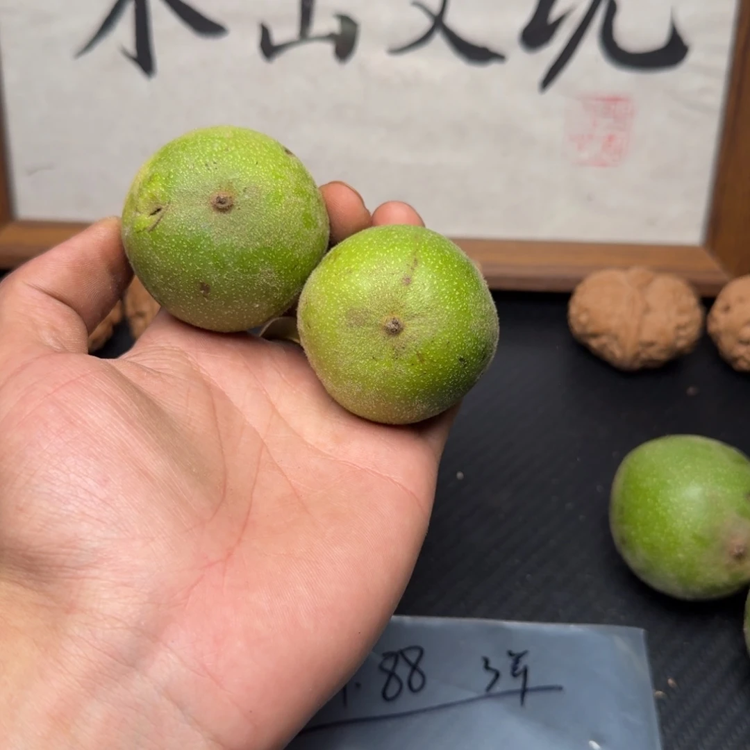 文玩核桃吊坠1.88青皮两个