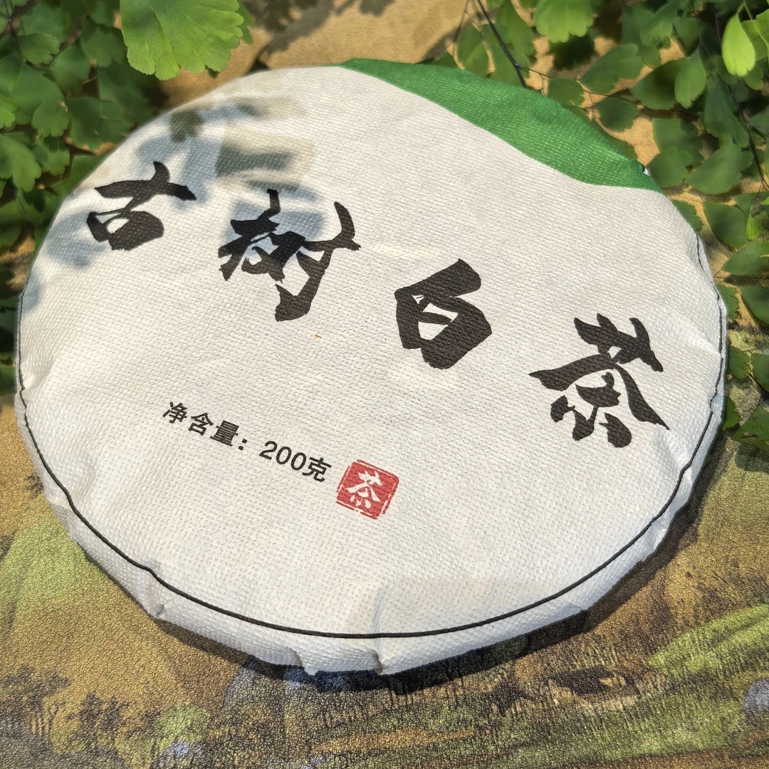 2025古树白茶春茶200克饼