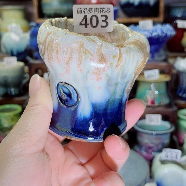 狼盆内口径5高度7