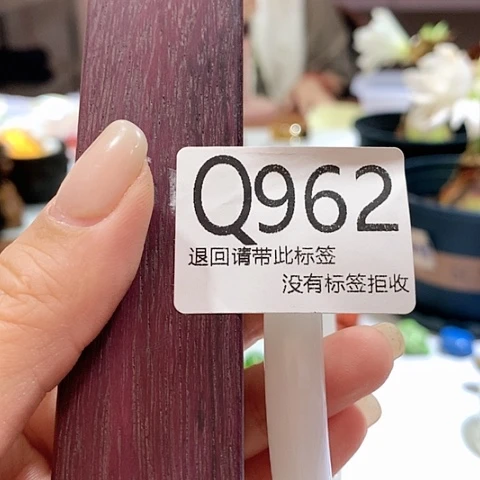 大叶紫檀（黑酸枝木类）962