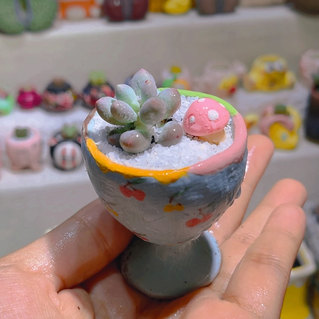 053草莓汤圆带盆带土手工盆