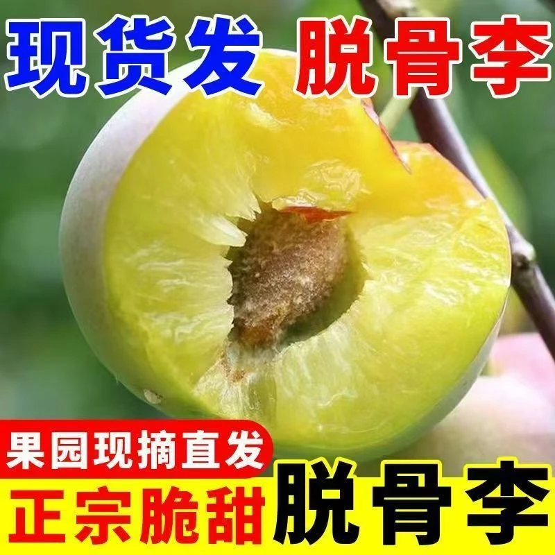 四川半边红脱骨李新鲜脆甜多汁当季新鲜水果茵红李现货