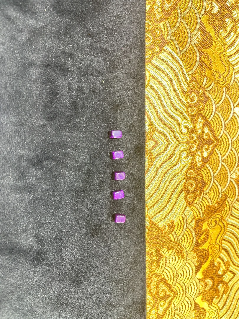 锦鲤甄选 南非老料丝绒四方柱单株多样性发一个 CH111