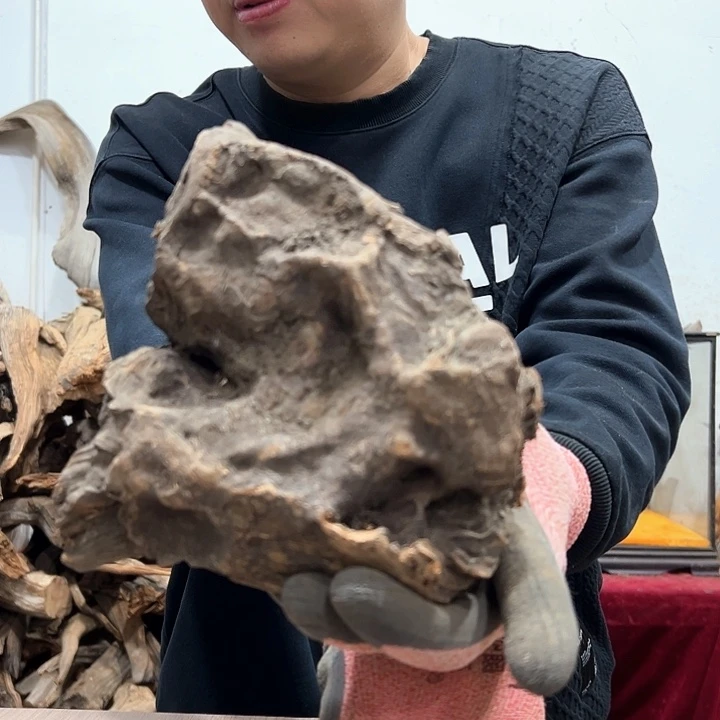 柏木景**金我们都是好孩子呀我也是想