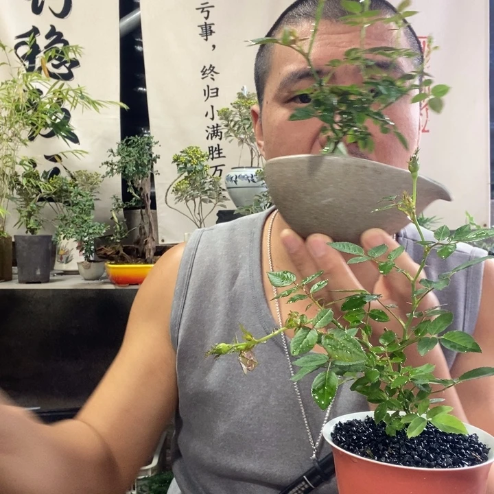 空***卡无花朵退款拉黑拉黑96