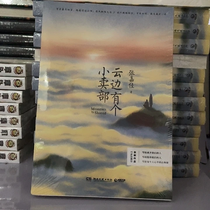 云边有个小卖部 平装带塑封