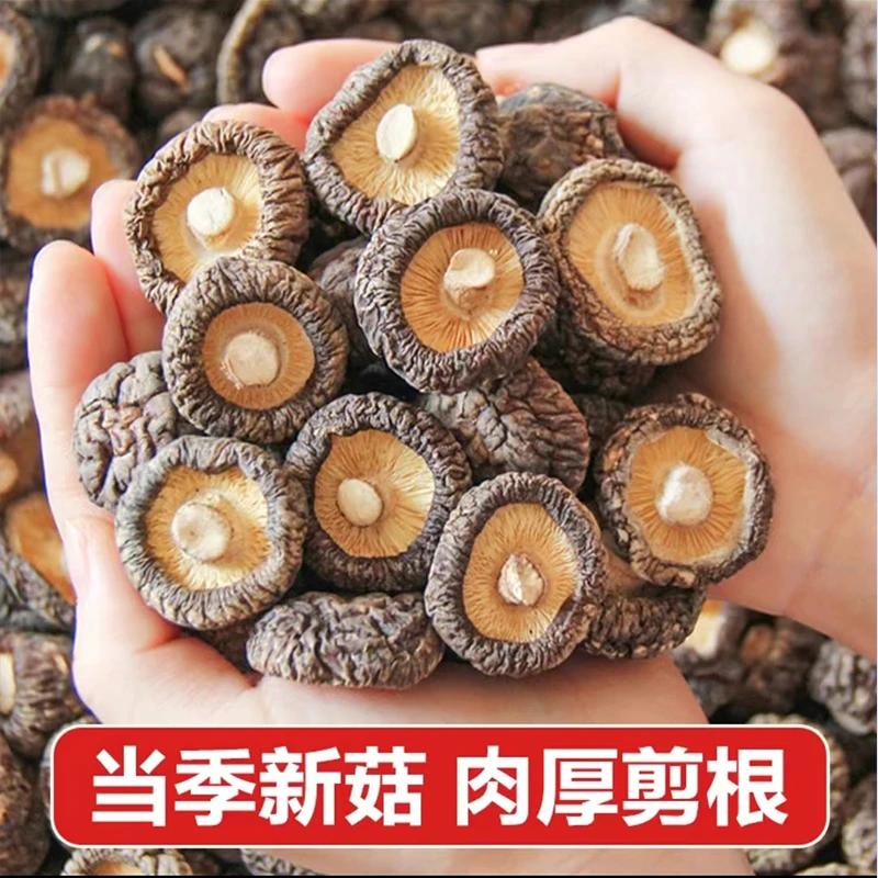 【半斤】甄选古田香菇干货农家新货肉厚无根无熏硫可用于炖鸡汤