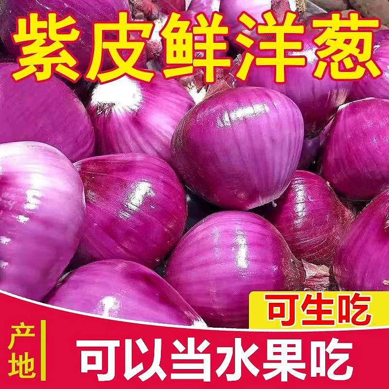 云南新鲜洋葱圆葱紫皮生吃脆甜蔬菜甜味当季现挖农户批发