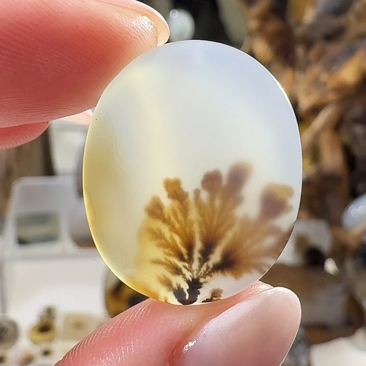 玛瑙/玉髓未镶嵌珠宝奇石