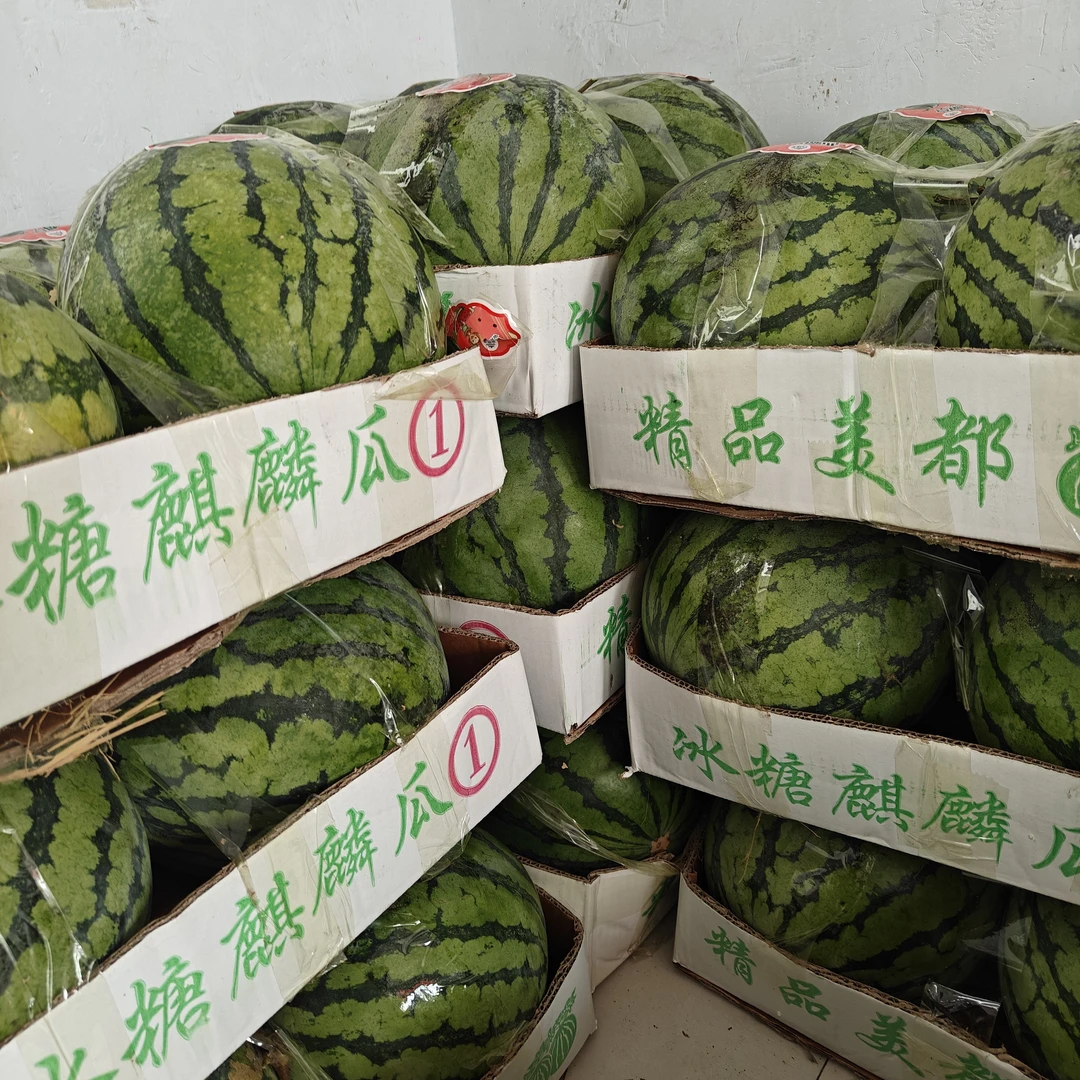 江苏麒麟西瓜超甜（一个）西瓜同城送江苏省