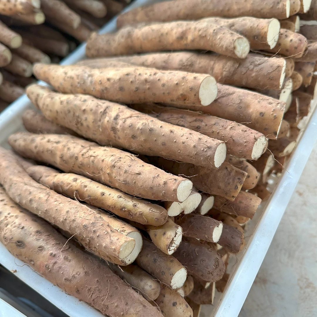 焦作垆土铁棍怀山药软糯香甜产地现挖当天直发