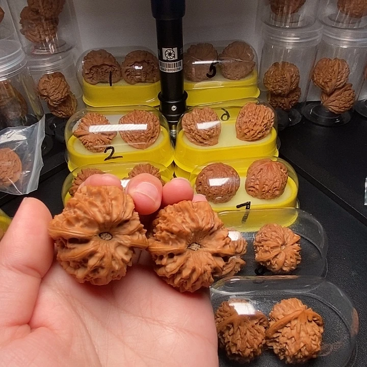 时***倾39高尖凹底龙门涧