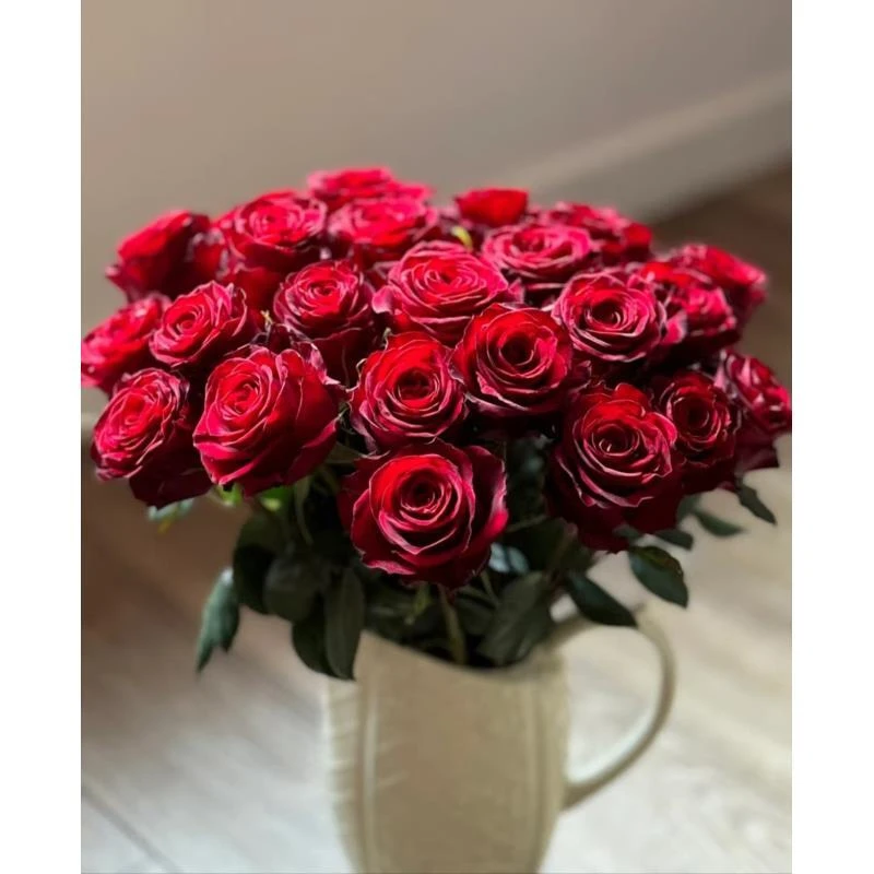 【高原红】单头玫瑰 真花 鲜切花  一单中通 拍够任意两单鲜花顺丰