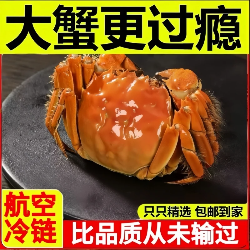 【全母活蟹】到手30只全母蟹单只1.1-0.8两江苏河蟹顺丰冷链不绑绳