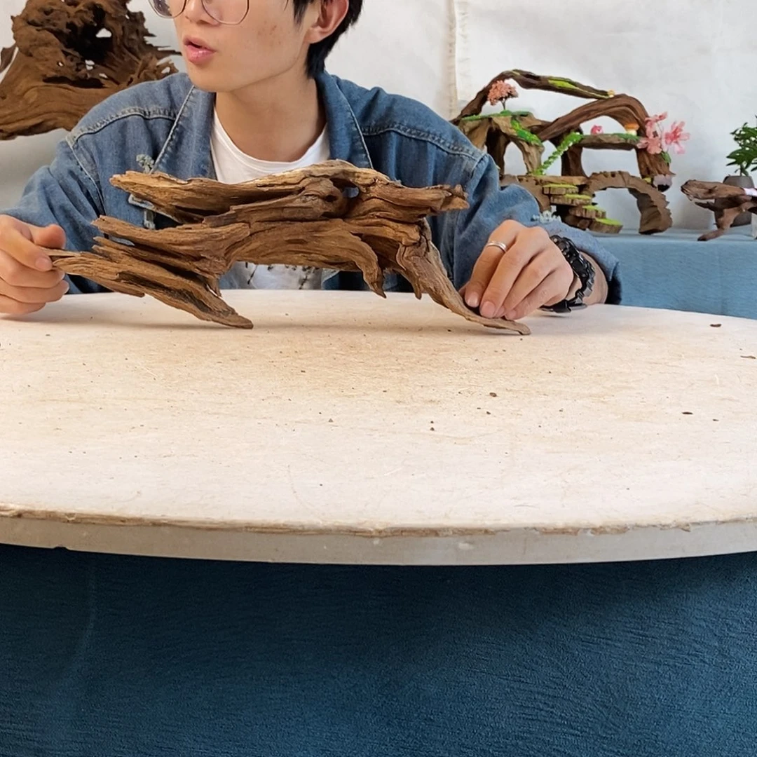 沉木造景爬宠造景