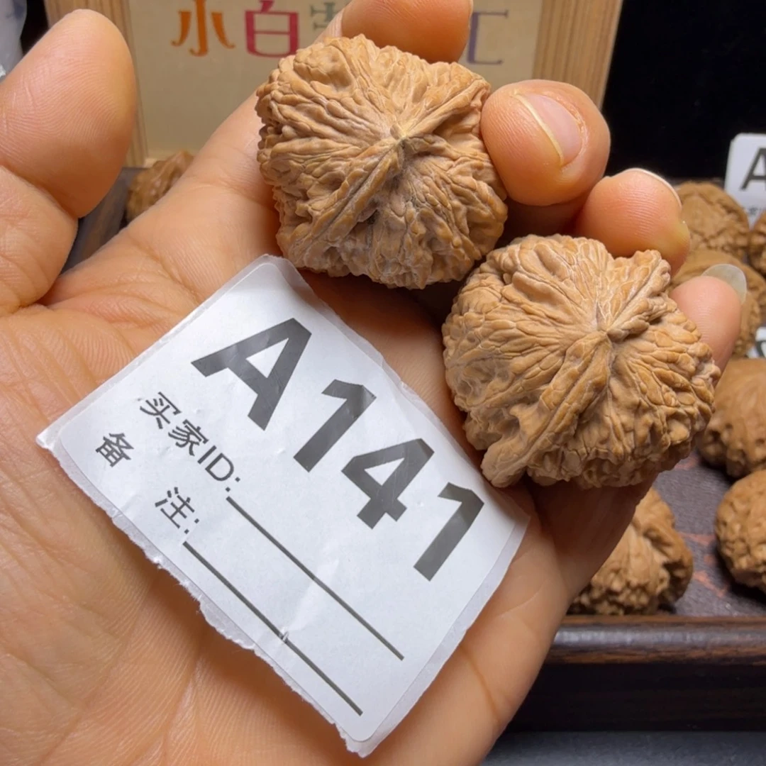 文玩核桃把件38尺白狮子A141有黄