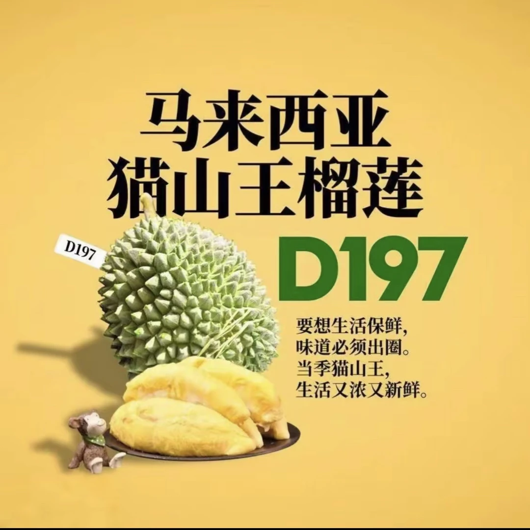 D197猫山王液氮榴莲 马来西亚进口 带壳 软糥丝滑 约2-2.5斤（默认开果）新鲜核小猫山王马来西亚