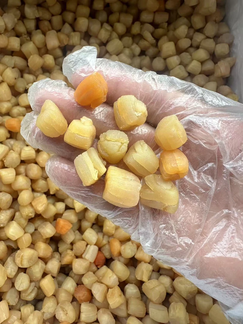 南澳岛 240头大干贝 足干品质 淡干 高品质