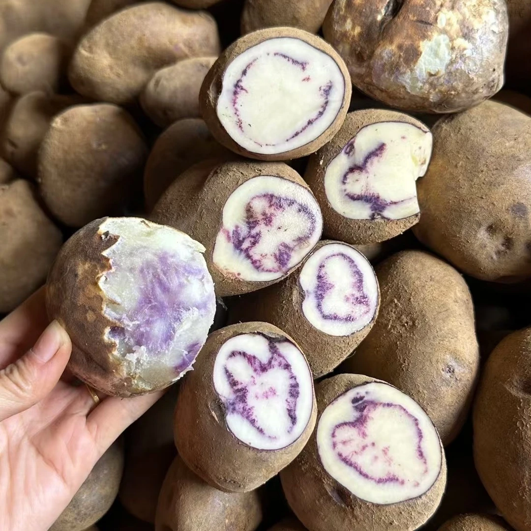 云南昭通大山包正宗乌洋芋新鲜紫心七彩土豆自带花青素