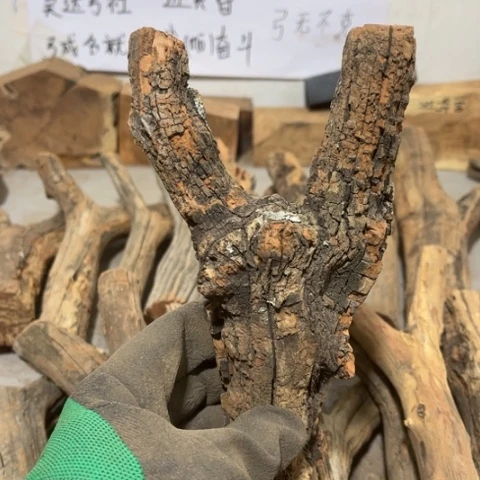 大果紫檀（缅甸花梨）凉
