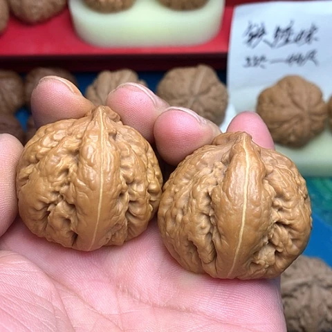 文玩核桃把件穿**了42尺粗愣霸王龙