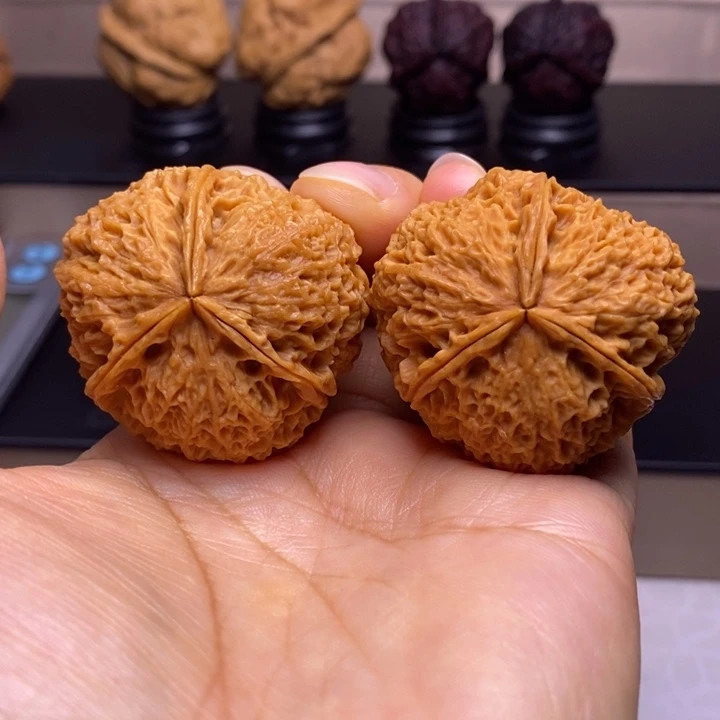 何***落文玩核桃把件金狮六面蟾26