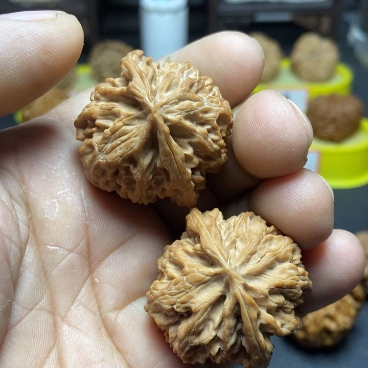 核桃苹果园狮子头008