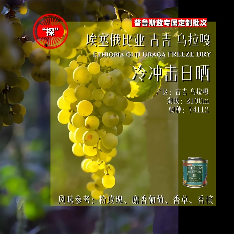 <“探”系列>埃塞俄比亚.古吉乌拉嘎.冷冲击日晒.精品咖啡豆