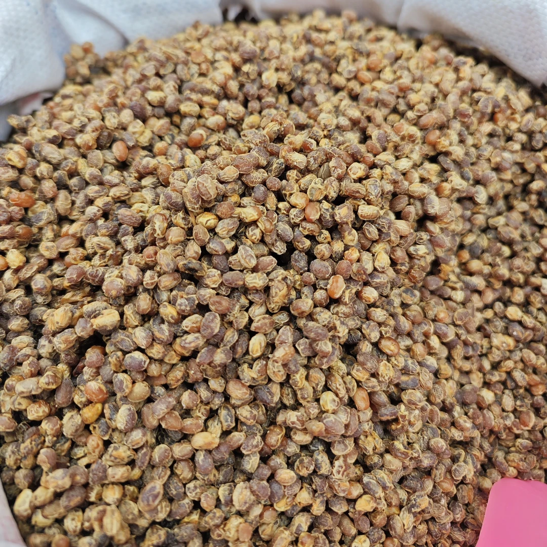 贵州特产传统风味干豆豉臭豆豉可用于火锅炒菜