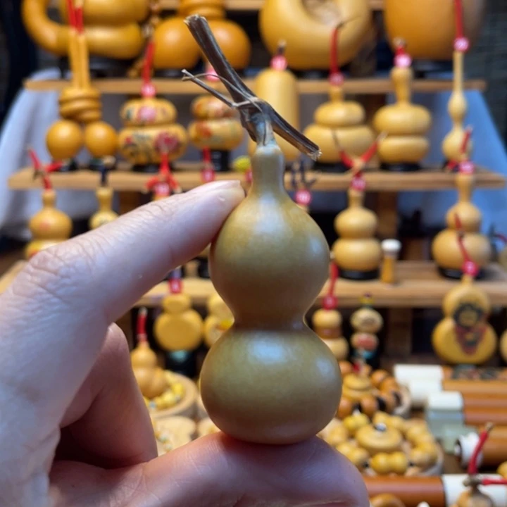 山****良天然葫芦自然生长