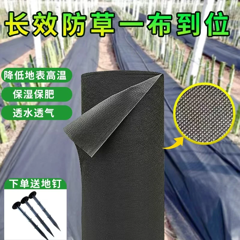 防草布除草布耐用果园果树专用切片开孔农用新型生态可降解无纺布