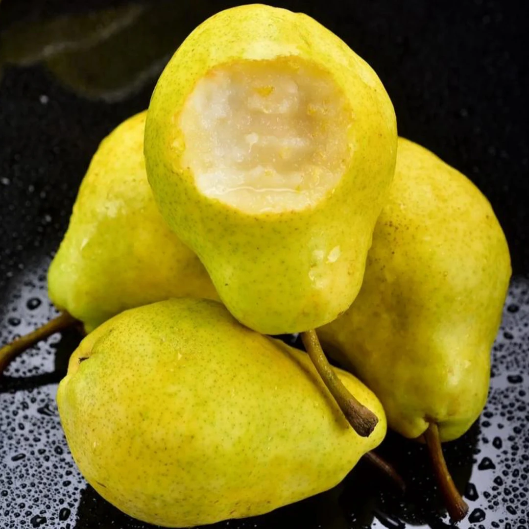 甘肃庆阳高山香蕉梨太婆梨巴梨时令水果