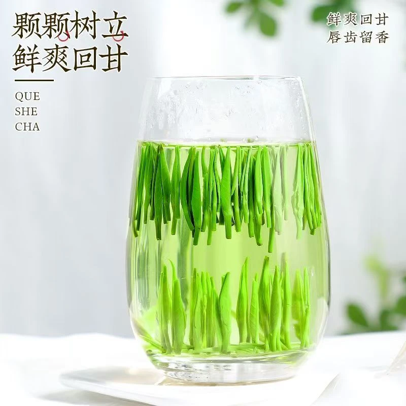 2025新茶雀舌绿茶茶叶500g