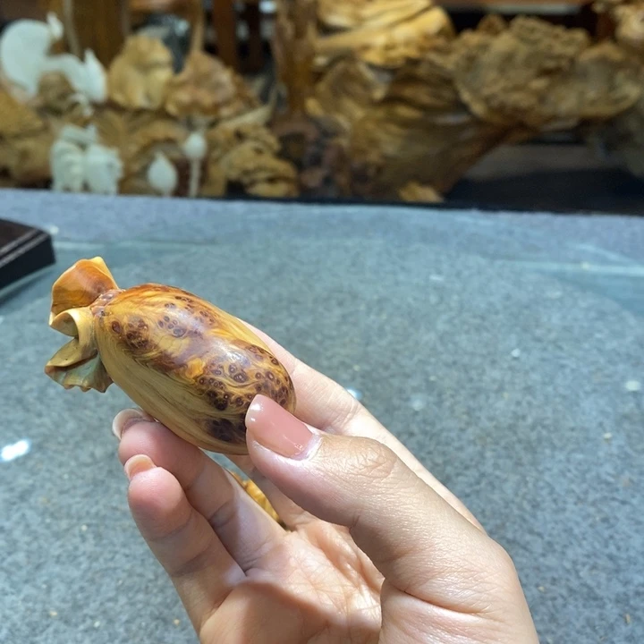 柏木（崖柏）太行钱袋