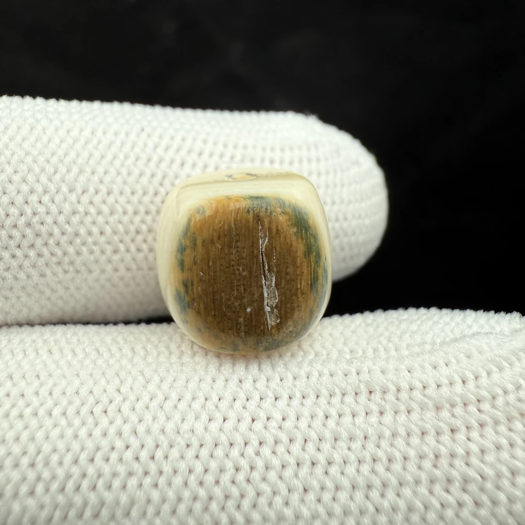 K2567天然猛犸牙带皮单珠12*11mm一物一图 假一罚十