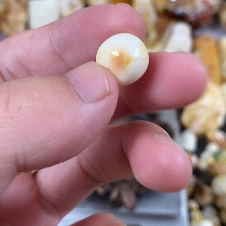 琥珀未镶嵌裸石我