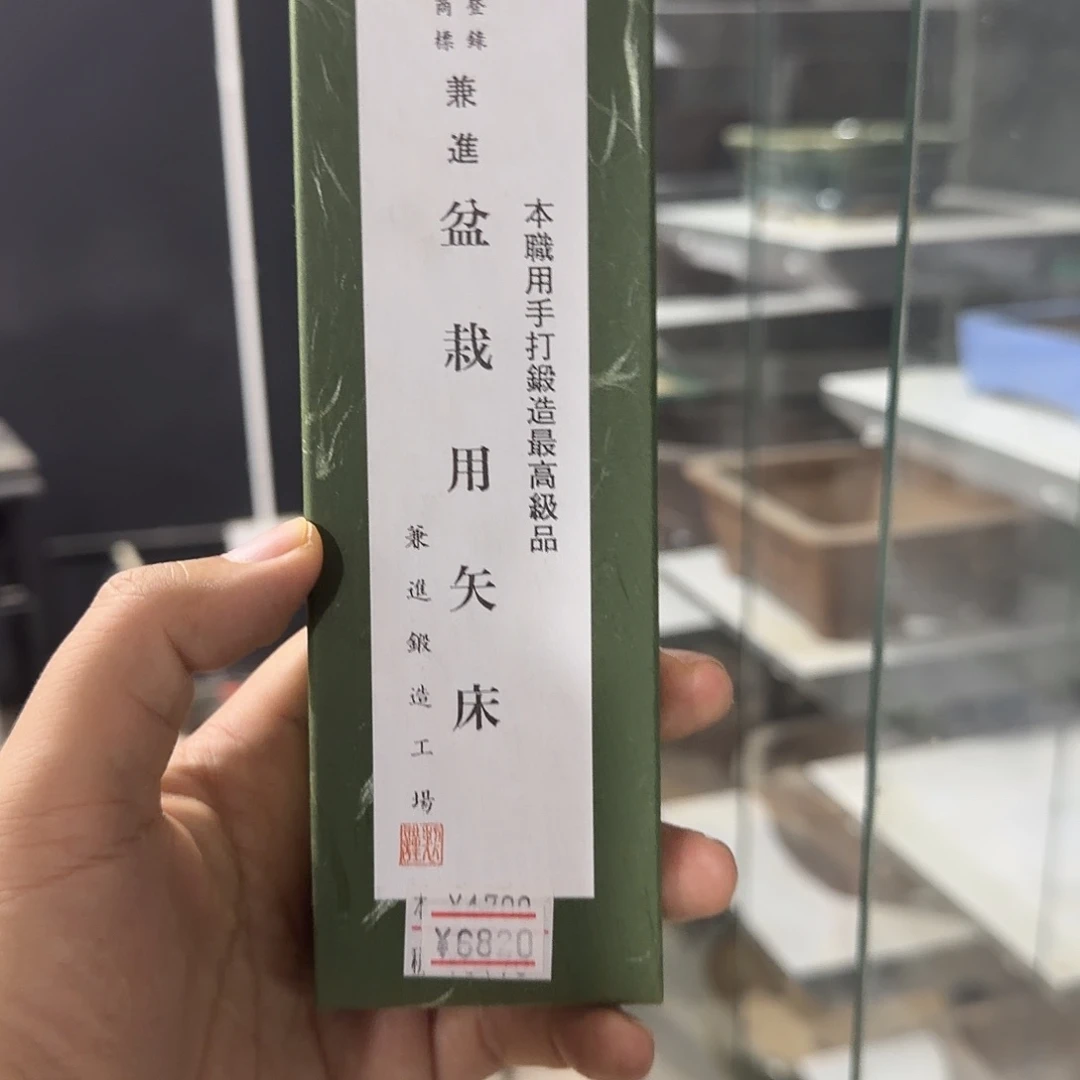 修***呦无花朵盆景顺风包邮紫园
