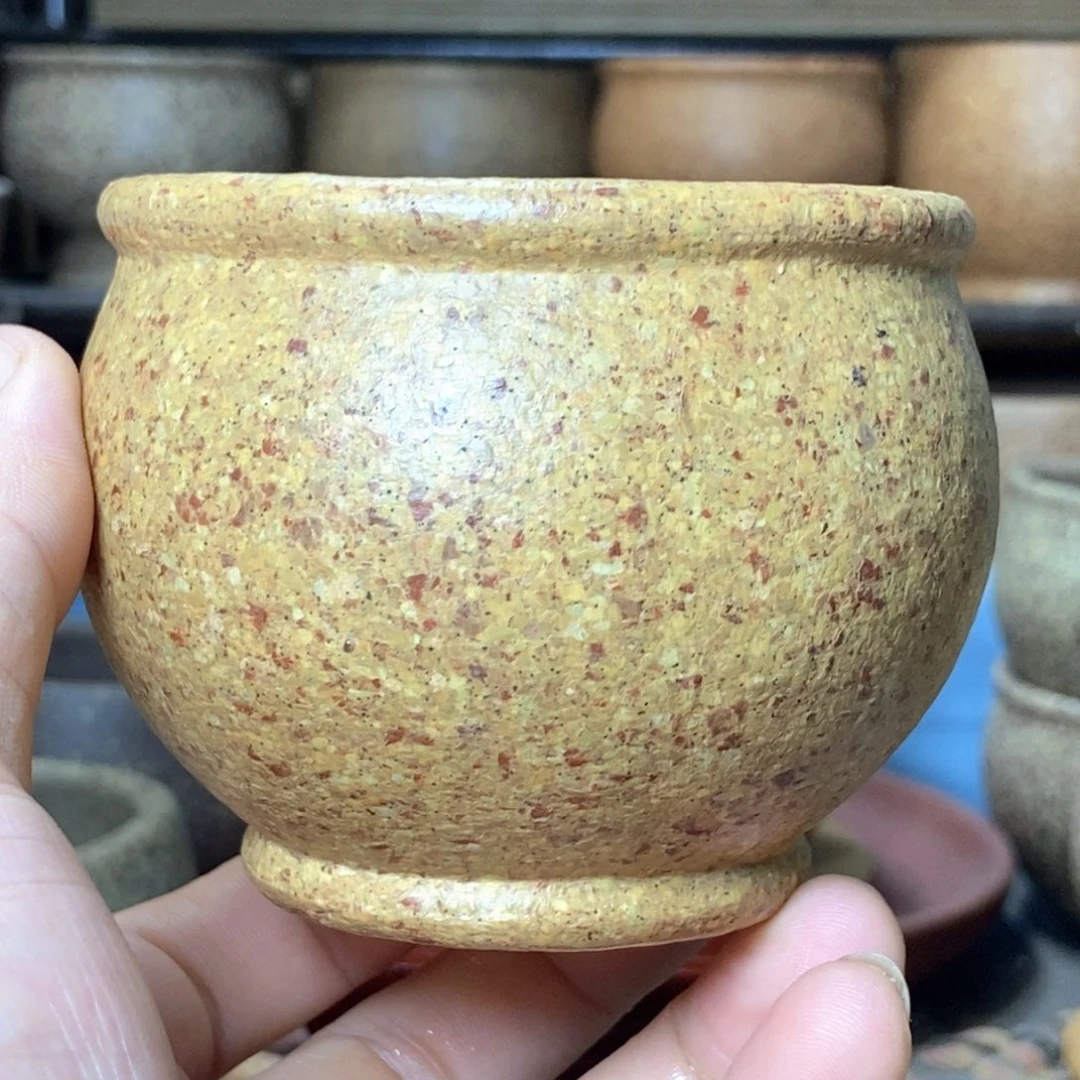 茶杯紫砂八目粗砂手工料半手工主人杯230毫升