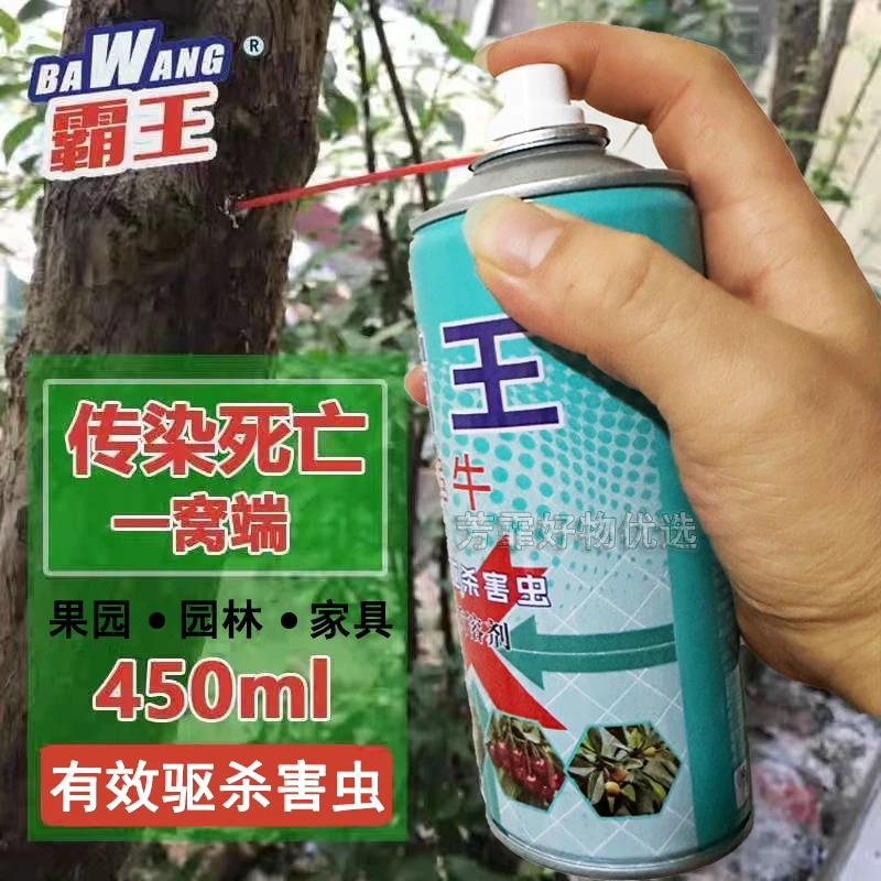 霸王非杀天牛气雾剂钻心虫园林果树木天牛克星白蚁蛀虫树洞杀虫剂