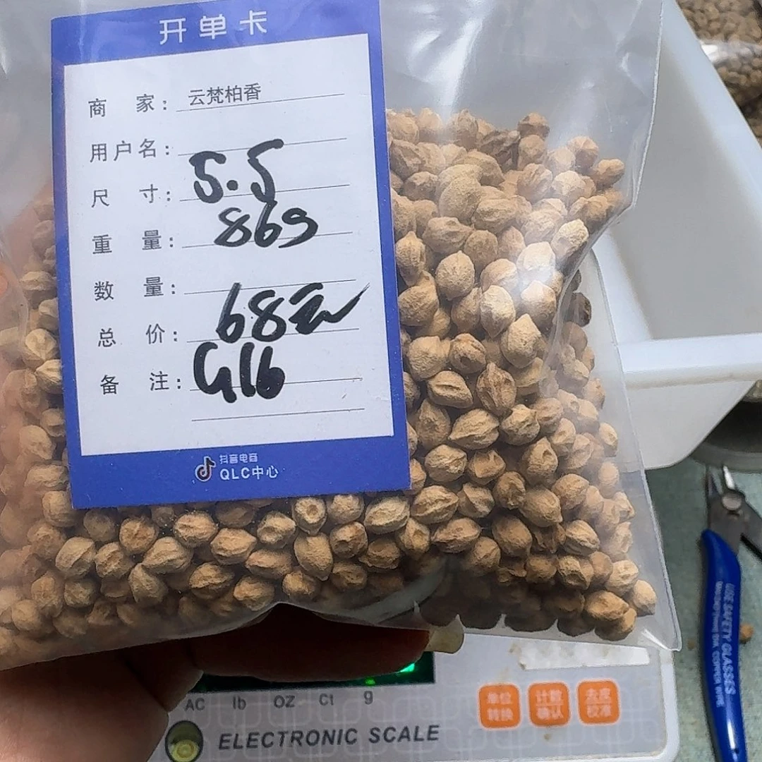 柏香籽/百香籽吊坠胖*