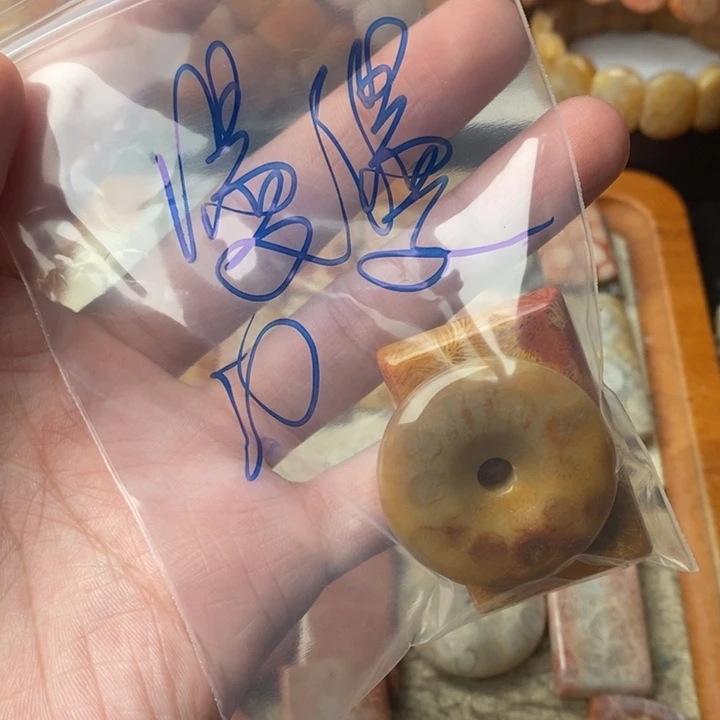 漫***路颈饰未镶嵌硅化珊瑚（珊瑚玉）