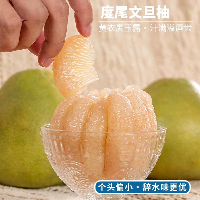 正宗福建仙游度尾文旦柚 香甜多汁应季新鲜应季时令水果包邮